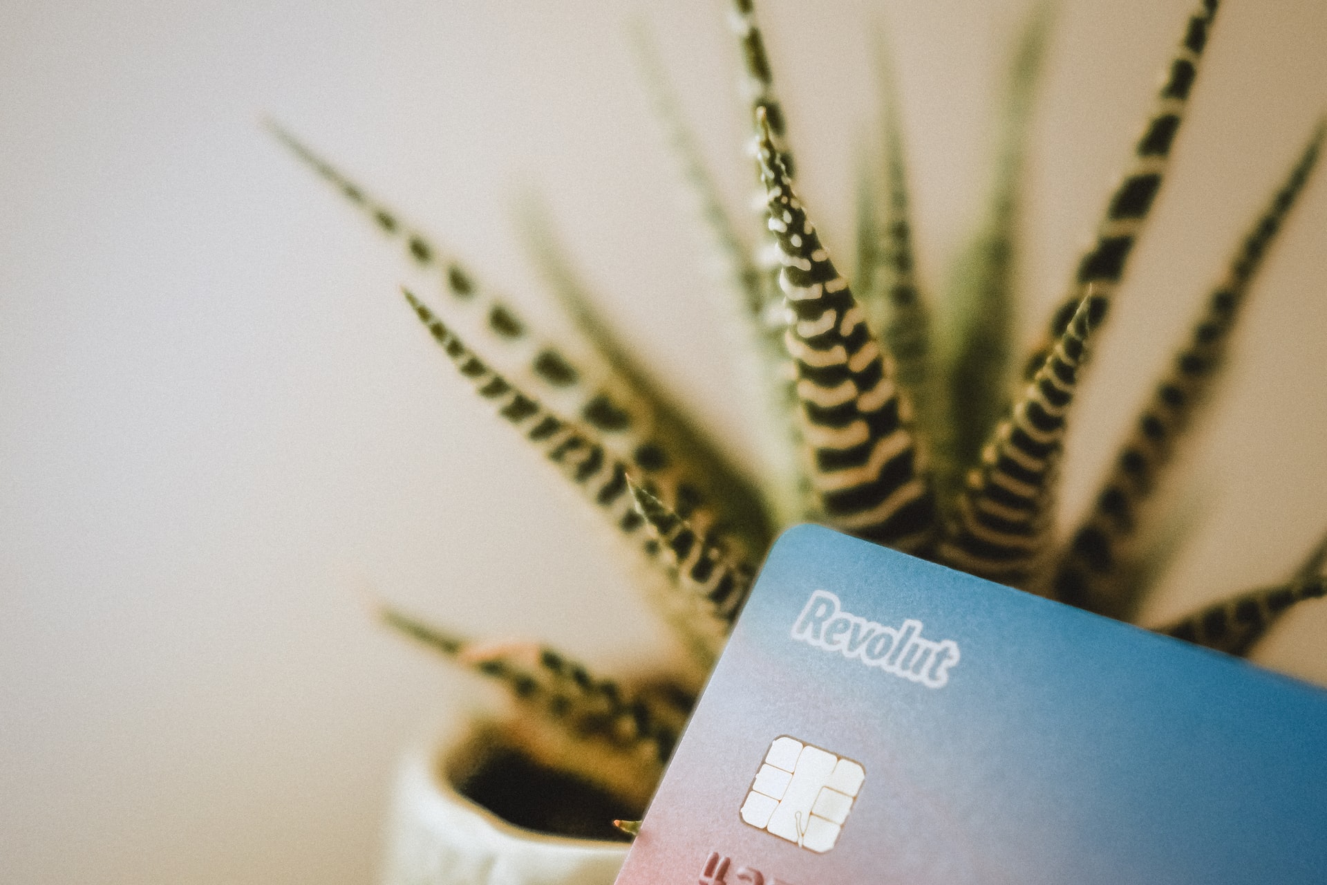 Revolut is looking for the right candidate to lead the Revolut is looking for the right candidate to lead the development of its cryptocurrency exchange - CoinCheckup blog