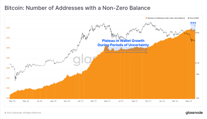number of addresses with a non zero balance